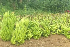 WhatsApp-Image-2026-01-13-at-14.44.37