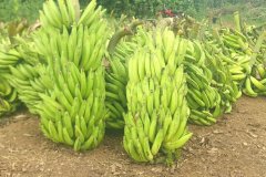 WhatsApp-Image-2026-01-13-at-14.44.39