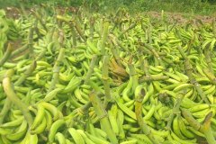 WhatsApp-Image-2026-01-13-at-14.44.40