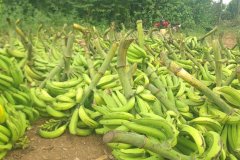 WhatsApp-Image-2026-01-13-at-14.44.42